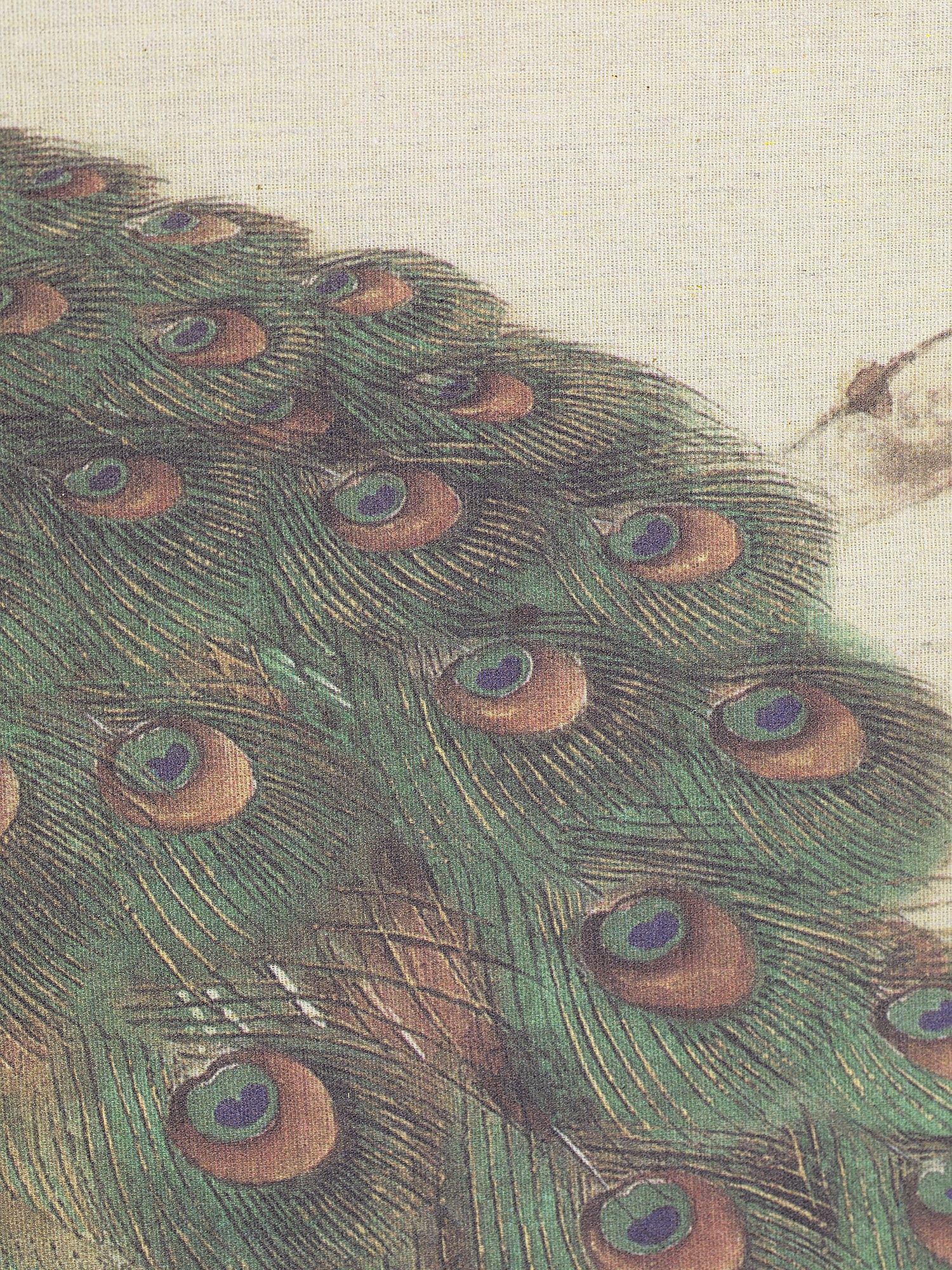 Картина подвесная "Павлин" Glasar 49-272