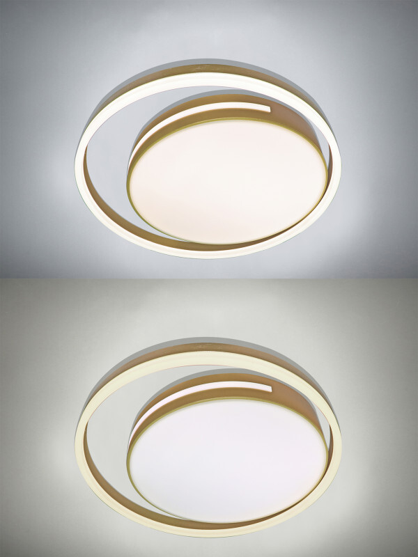 Накладной светильник Natali Kovaltseva LED LAMPS 81304