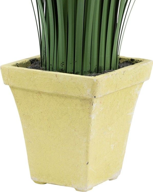 Растение декоративное Трава Glasar 29091