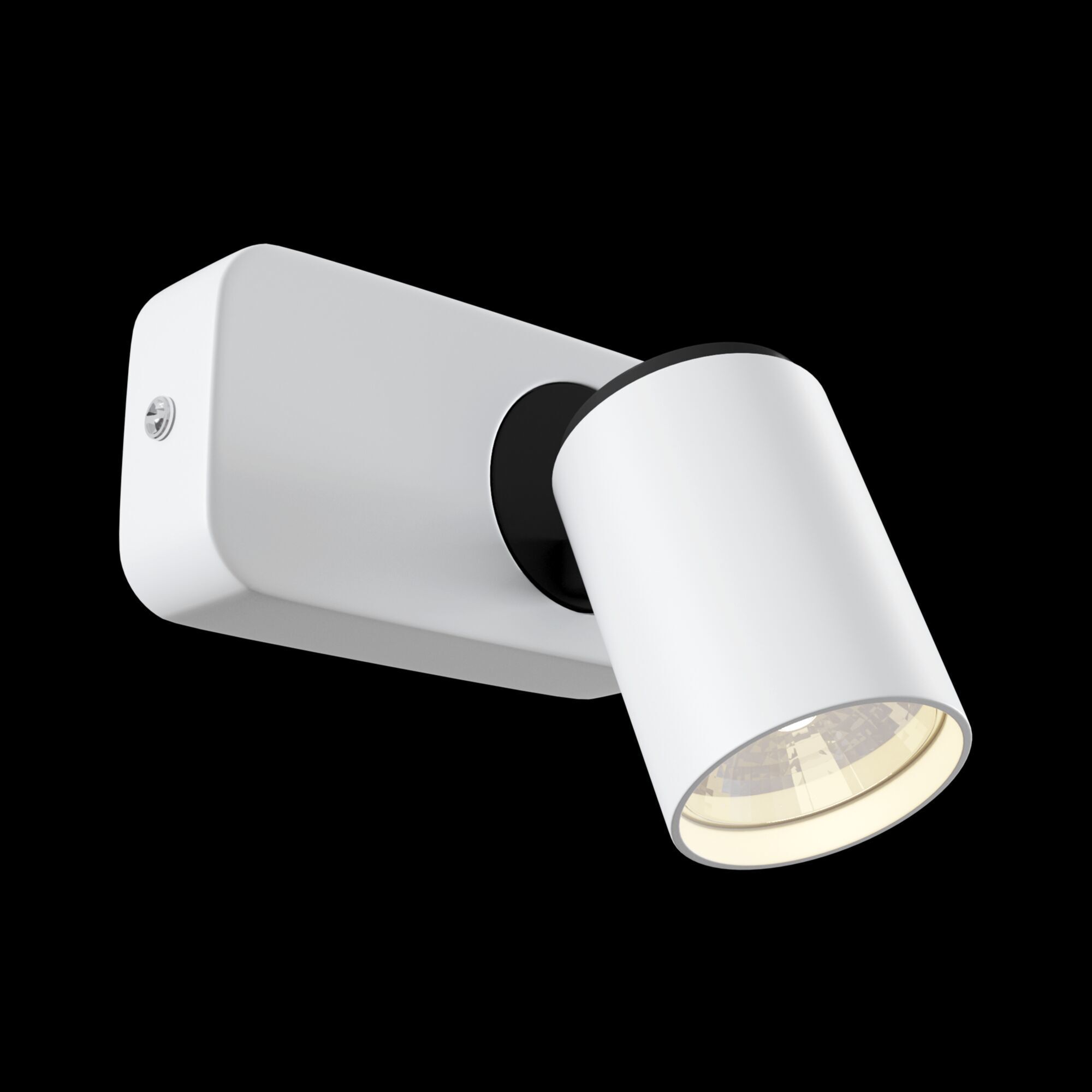 Спот Maytoni SP317-CW-01-W