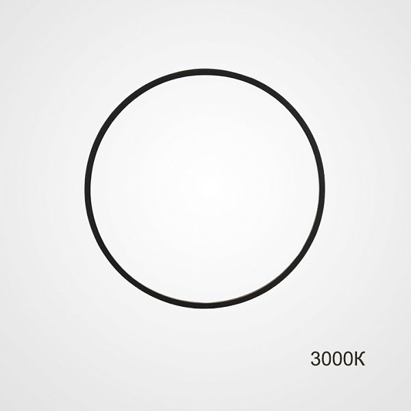 Настенный светильник GUARD D50 3000К by ImperiumLoft