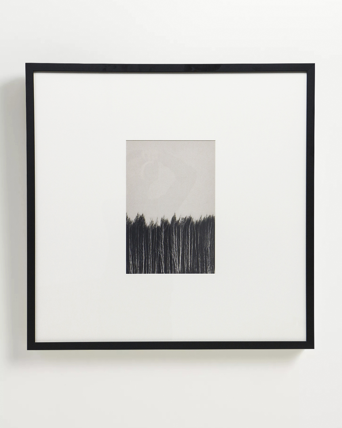 Интерьерный постер Forest Louvre Home DPP200924VHS