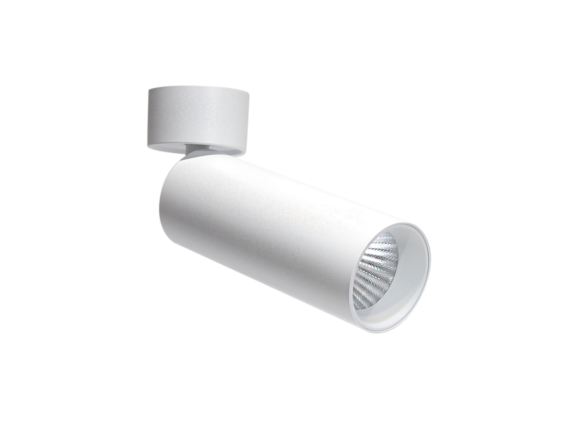 Накладной поворотный светодиодный светильник Donolux DL18895R10W1W ST