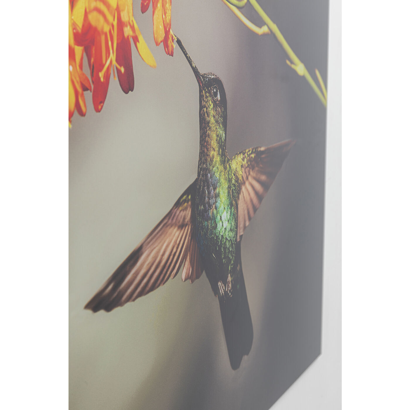 Картина Colibri 53088 Kare