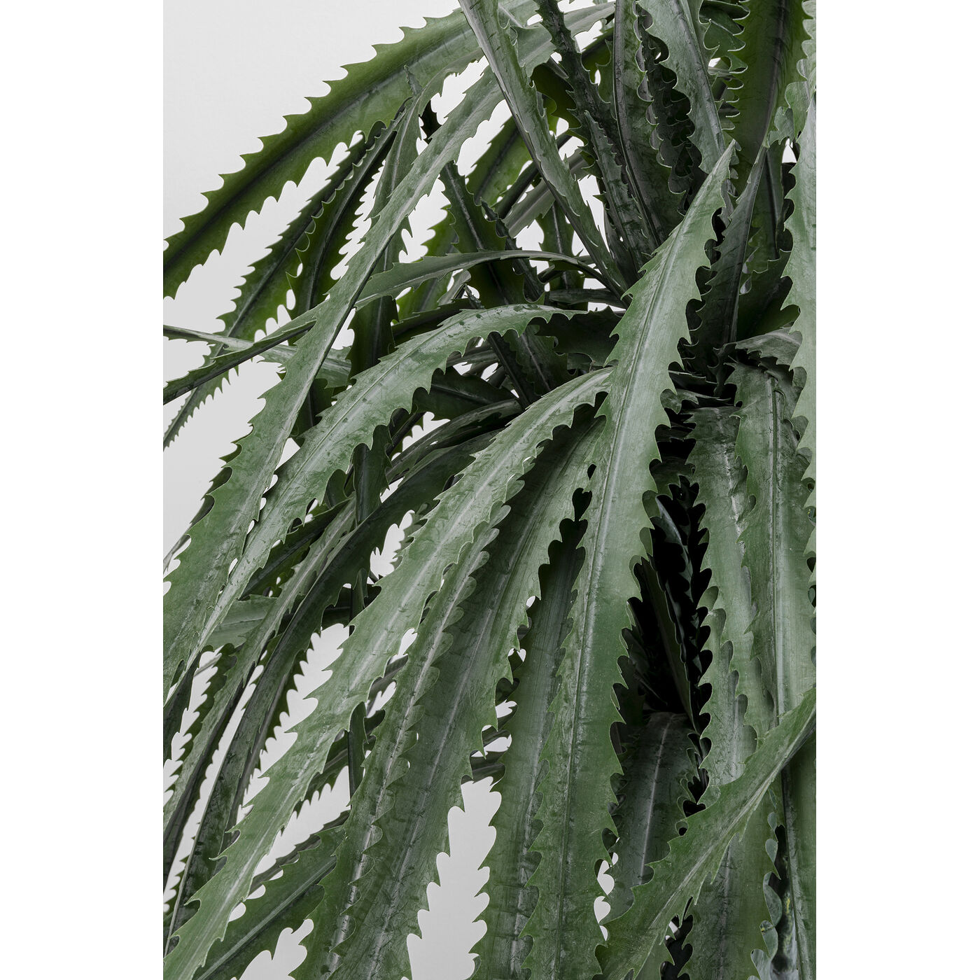 Растение декоративное Dragon Tree 155 см KARE 55916