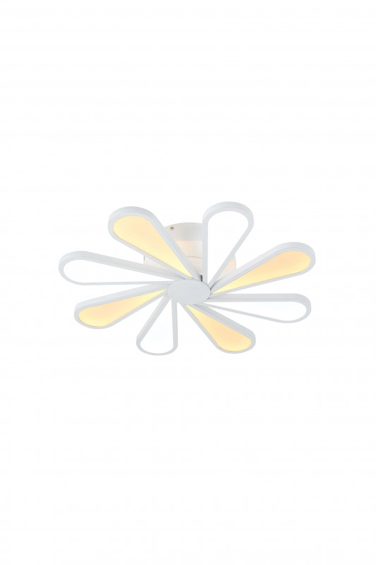 Накладной светильник Lucia Tucci Miracoli 201.8 LED