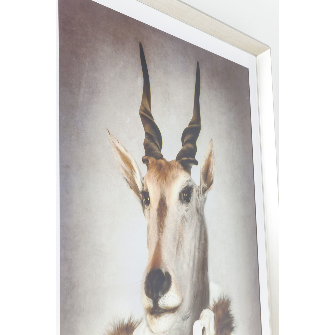 Картина в рамке Mr. Antelope 39278 KARE