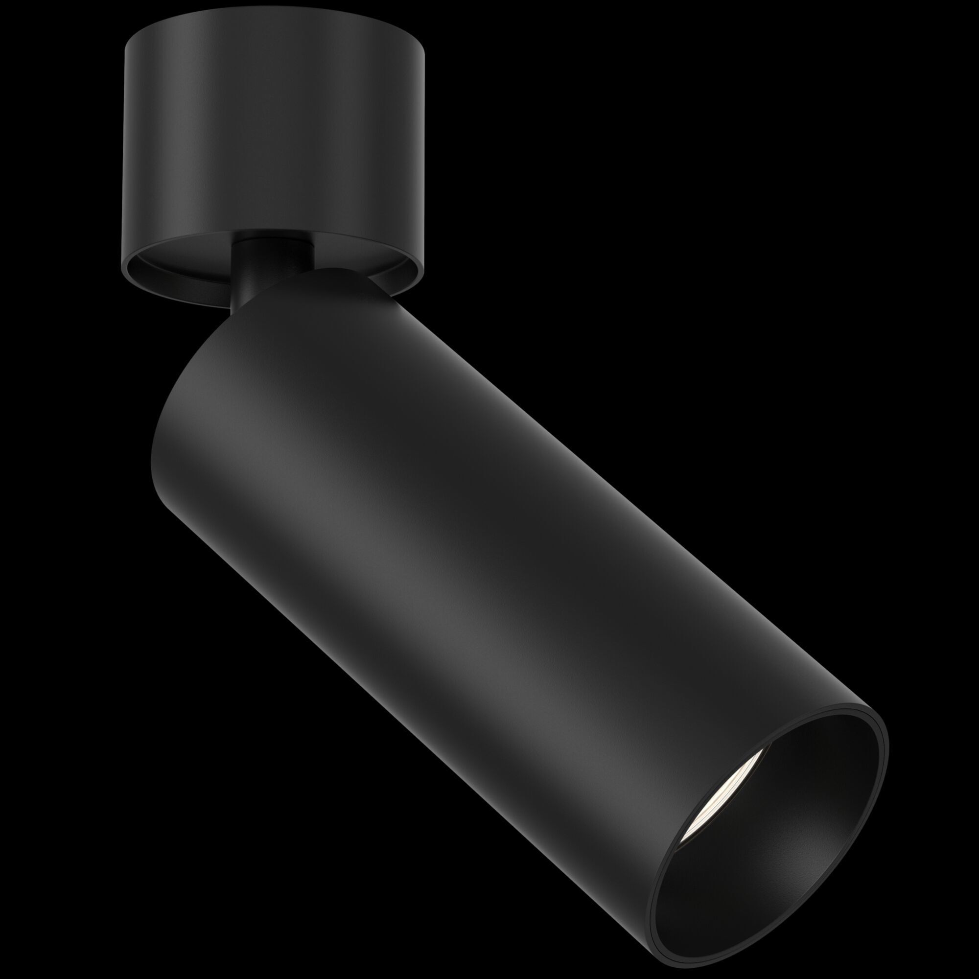 Потолочный светильник Maytoni C055CL-L12B4K