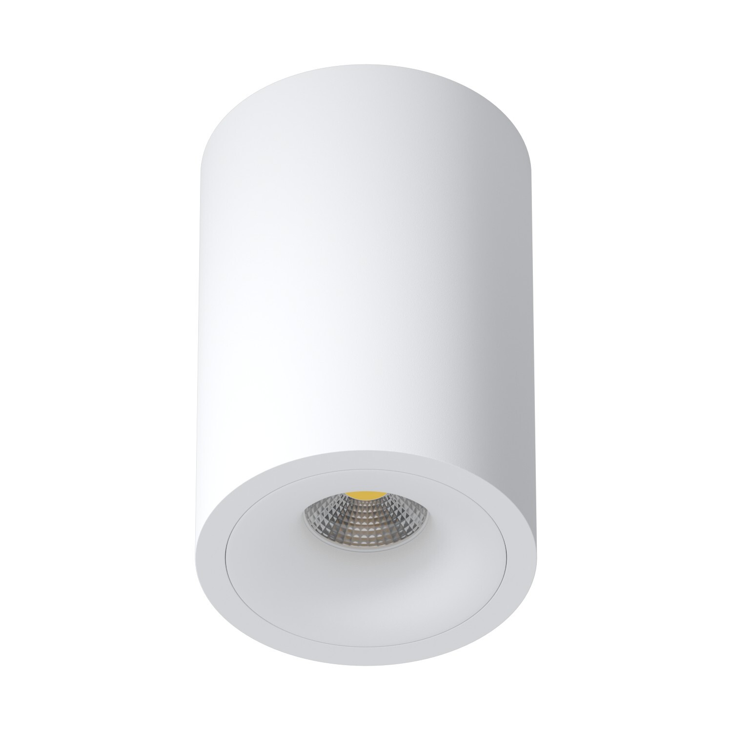 Накладной светильник под сменную лампу Ledron MJ1027 White 220