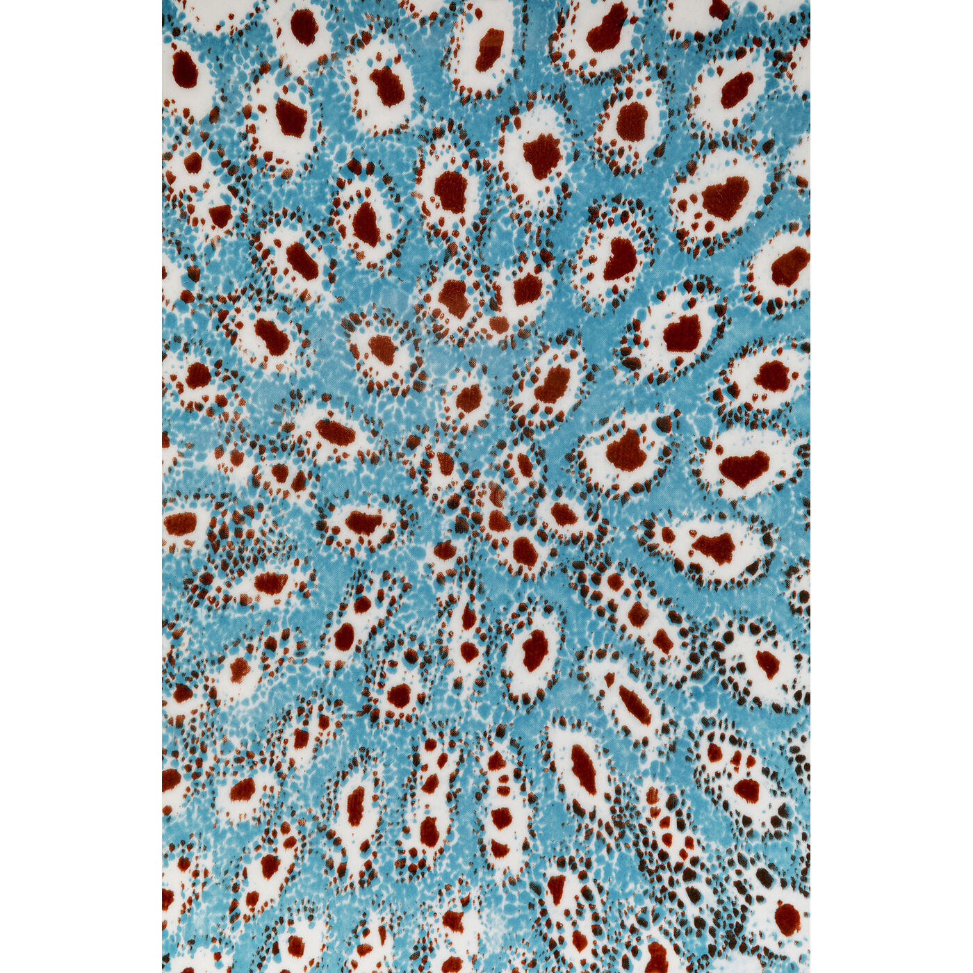 Тарелка Gioia Ø27cm KARE 57489