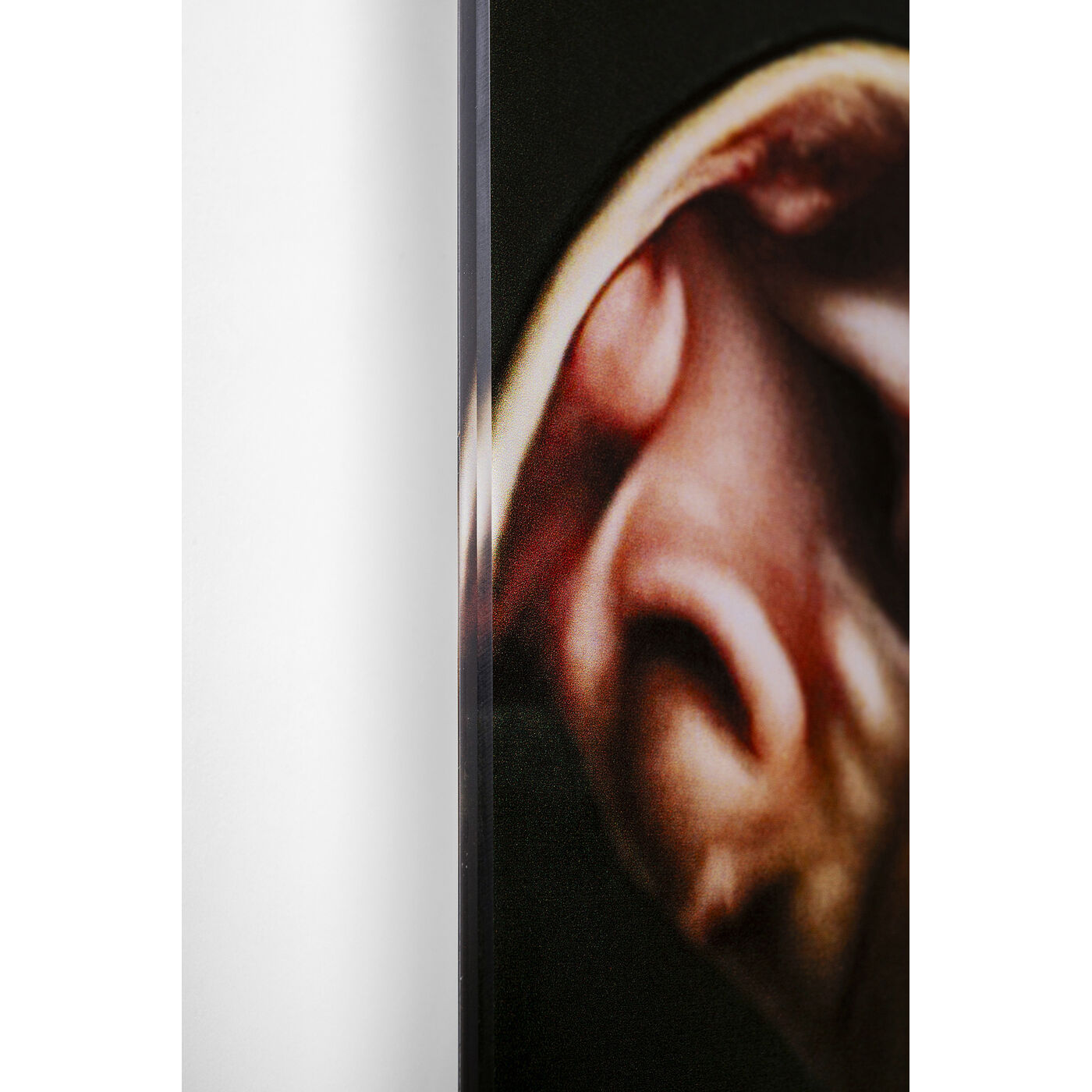 Картина стеклянная Dog Family 110x90 см KARE 56270