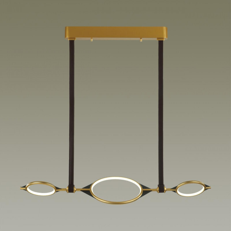 Подвесная люстра Odeon Light 4995/40L