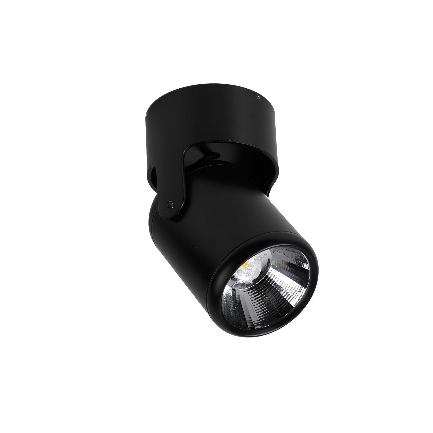 Потолочный светильник Favourite 1979-1U