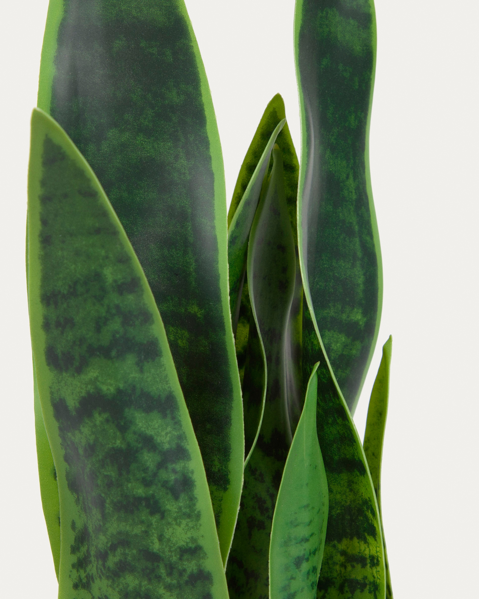 Искусственное растение Sansevieria с белым горшком 55 см La Forma (ex Julia Grup)