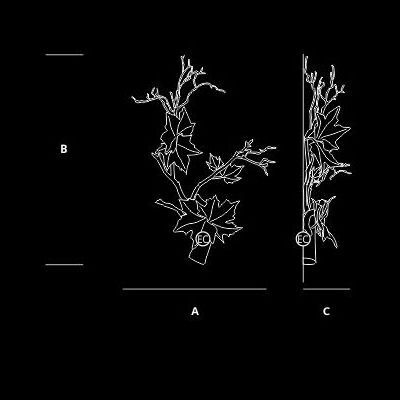 Настенный светильник Serip Folio AP1499/4/L