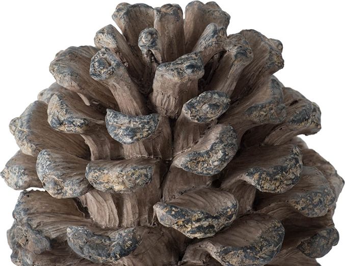 Декор Шишка Glasar 77341