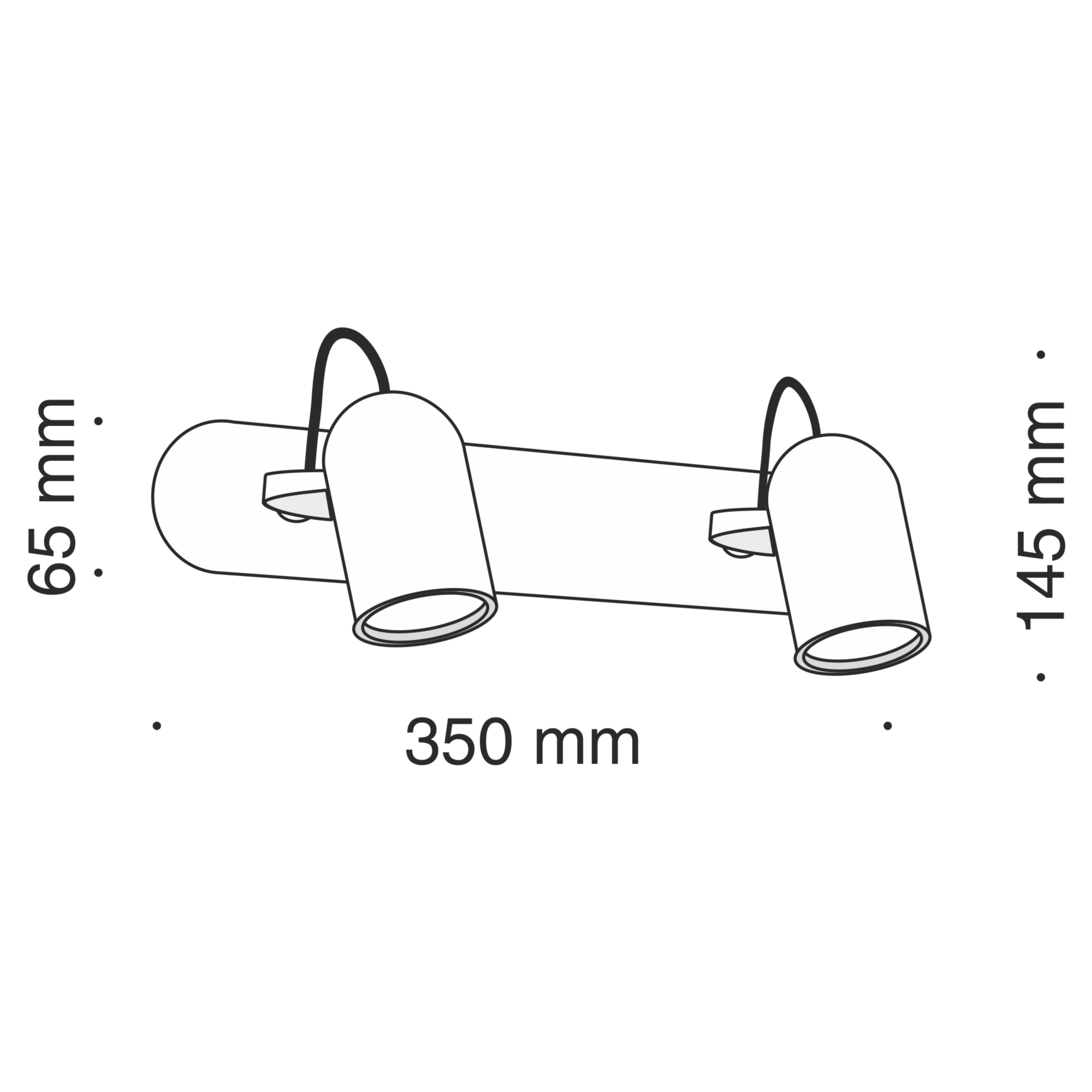 Спот Maytoni SP311-CW-02-N