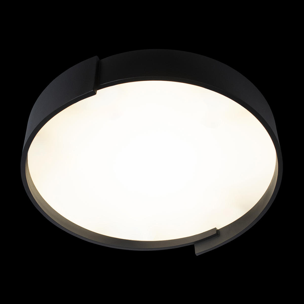 Потолочный светильник LOFT IT Coin 10200 Black