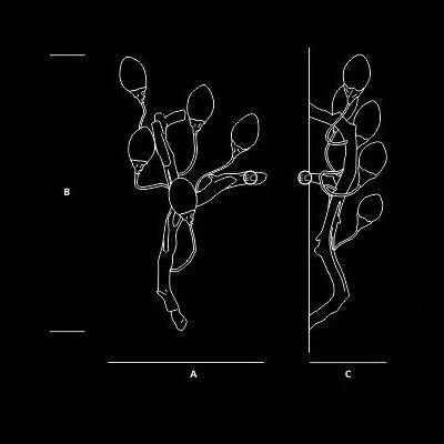 Настенный светильник Serip Lotus AP1474/5/L