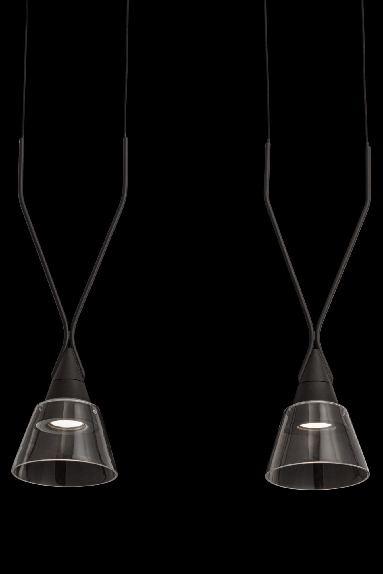 Подвесной светильник Maytoni P063PL-02B