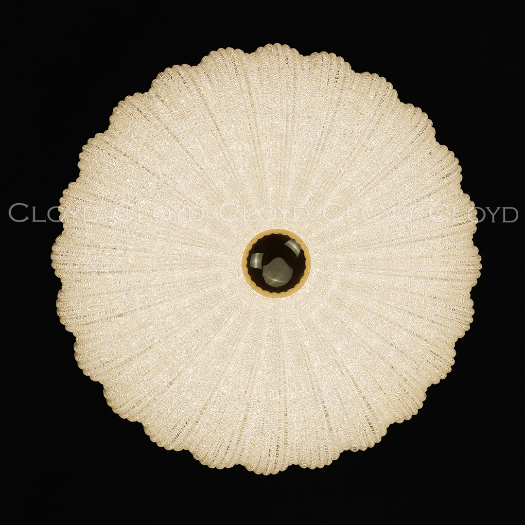 Потолочный светильник Cloyd Dessa 10372