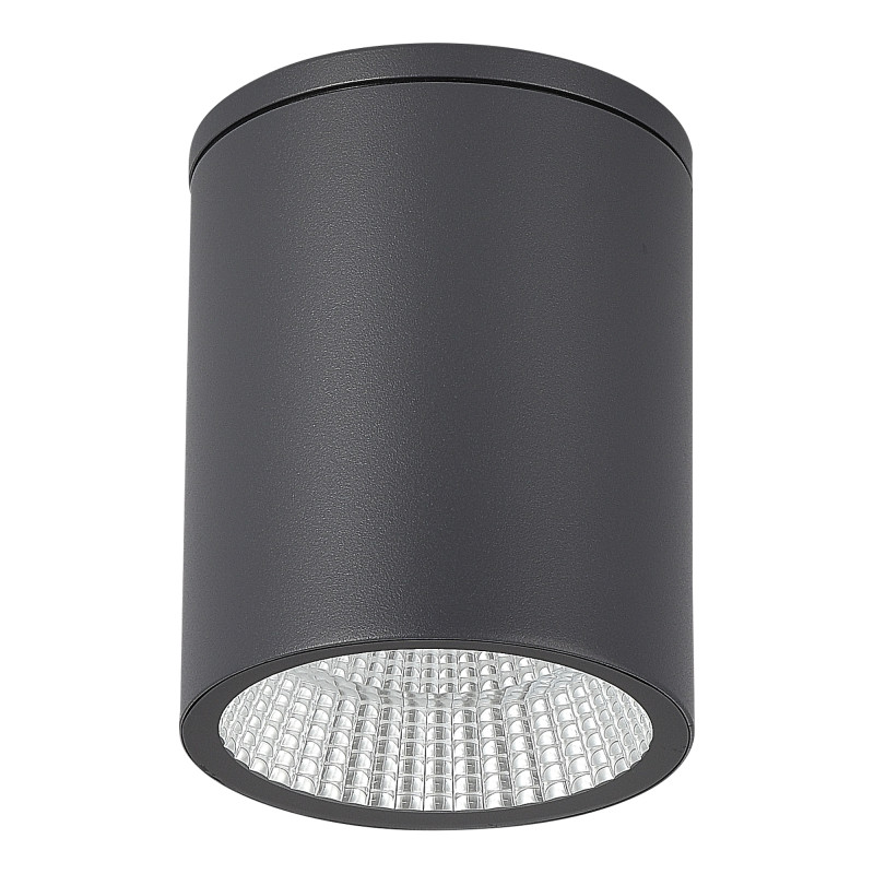 Накладной уличный светильник ST-Luce SL9514.712.01