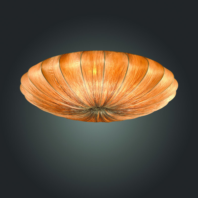 Накладной светильник ST Luce SL351.172.08