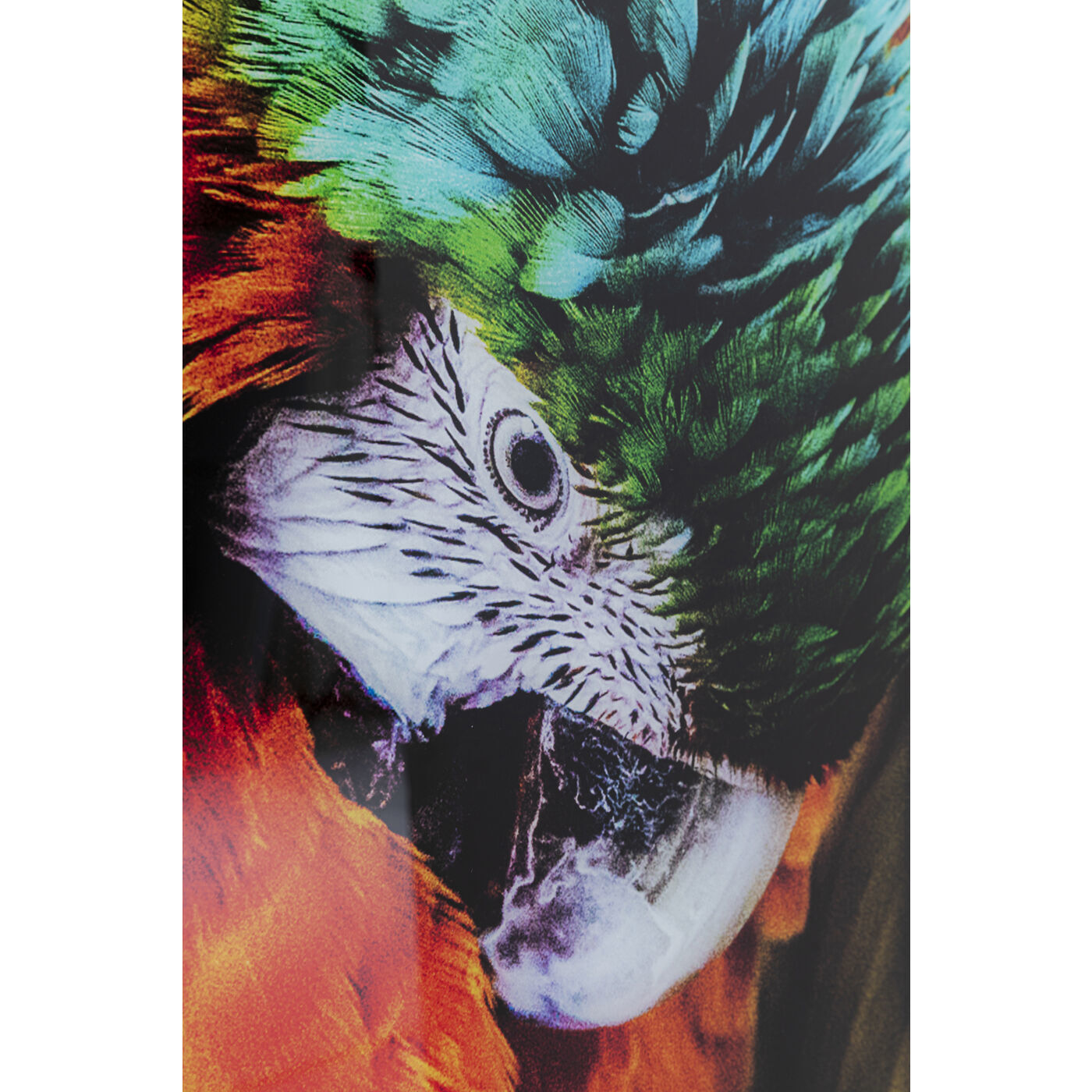 Картина Parrot 53089 Kare