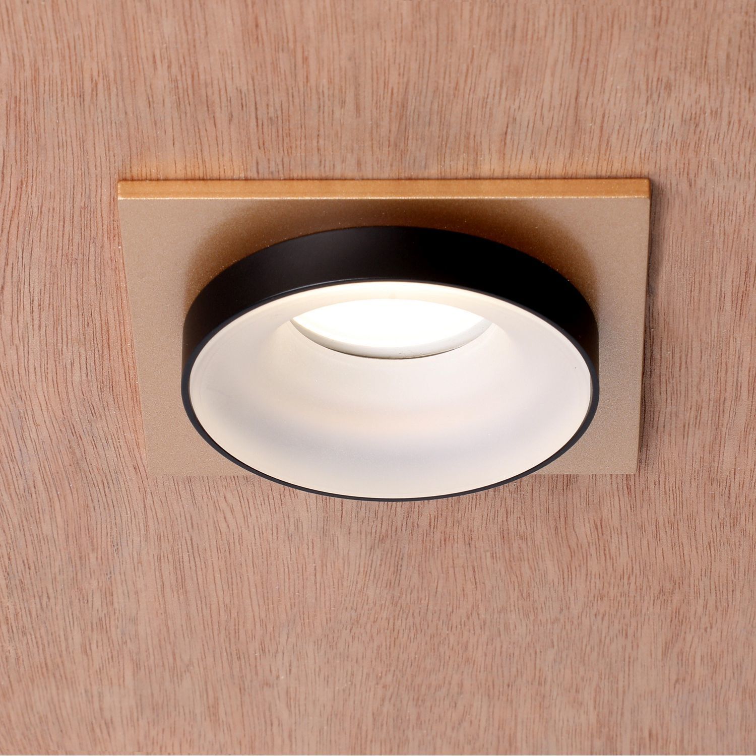 Встраиваемый светильник Favourite 2887-1C