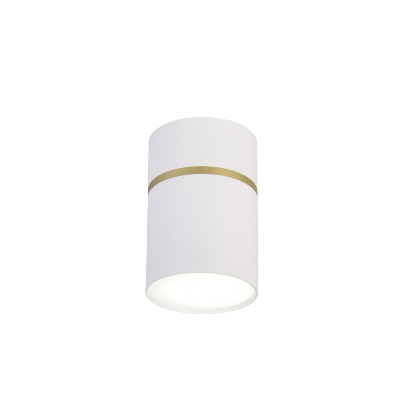 Накладной светильник Favourite 3067-1C