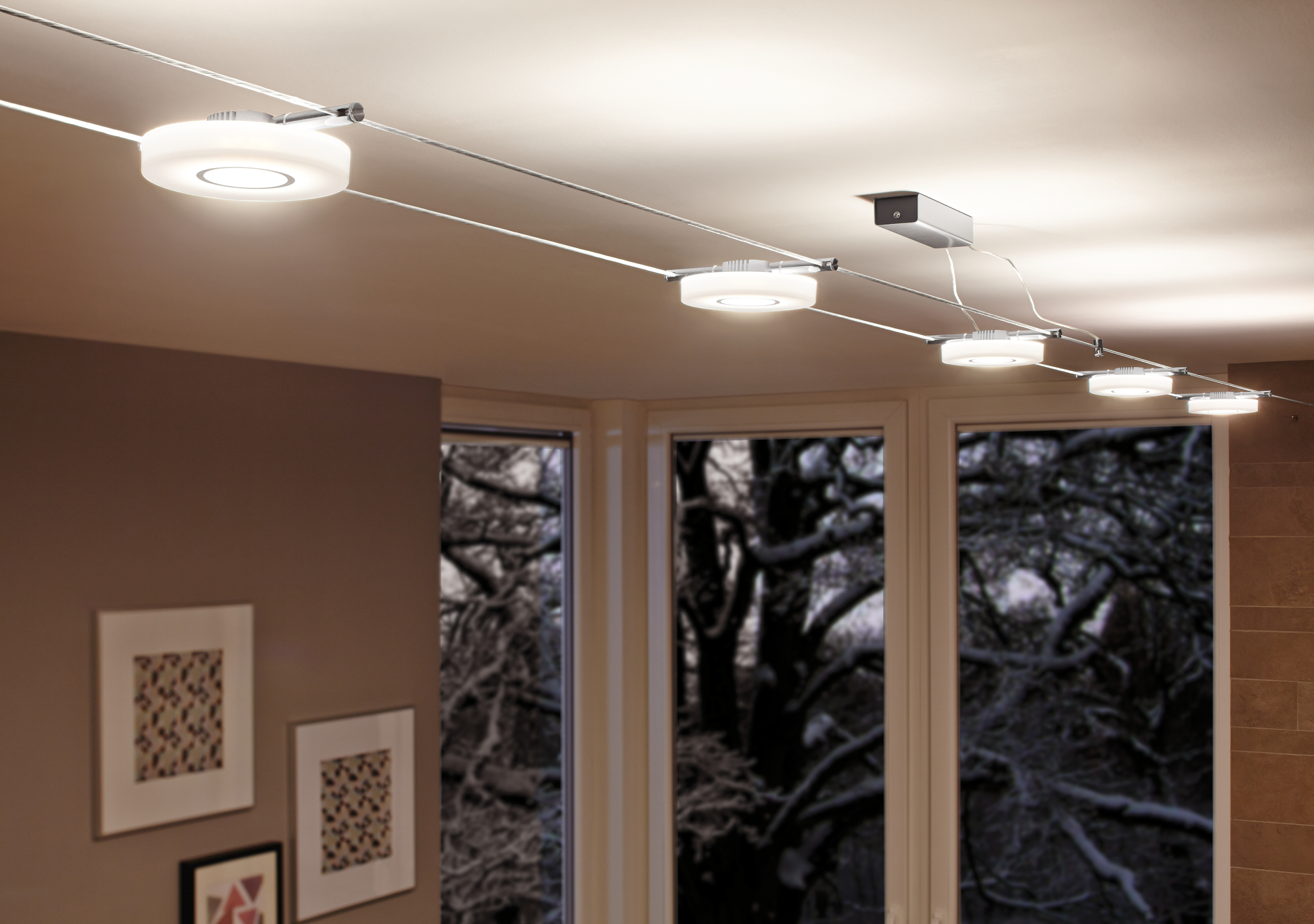 Струнный светильник Paulmann 50113