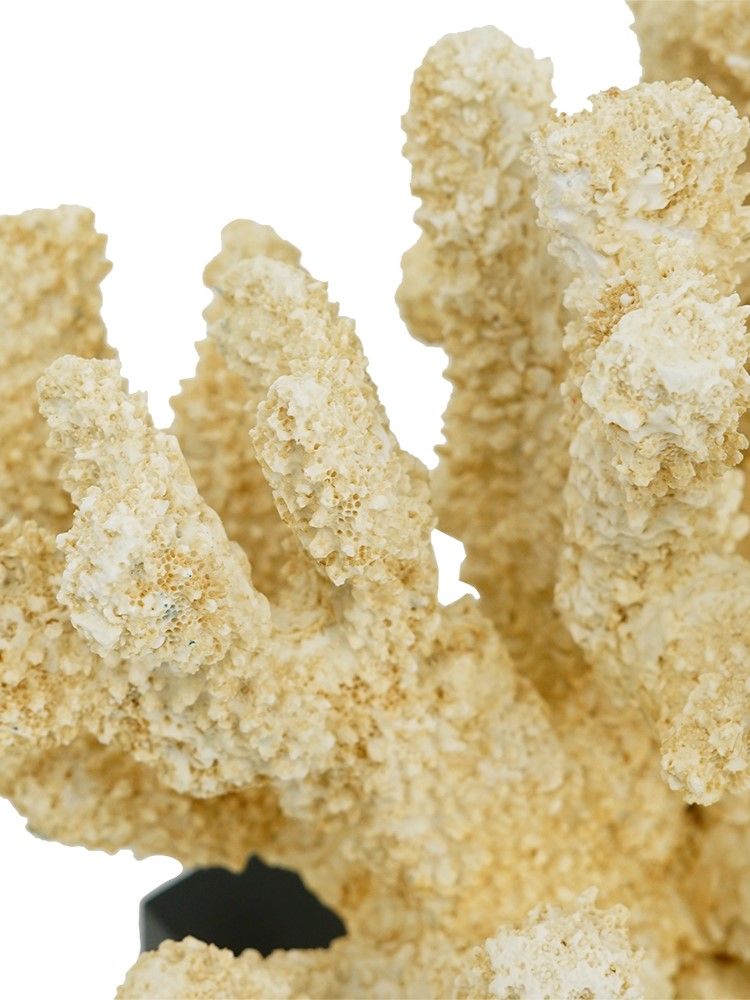 Декор настольный Коралл Glasar 70535