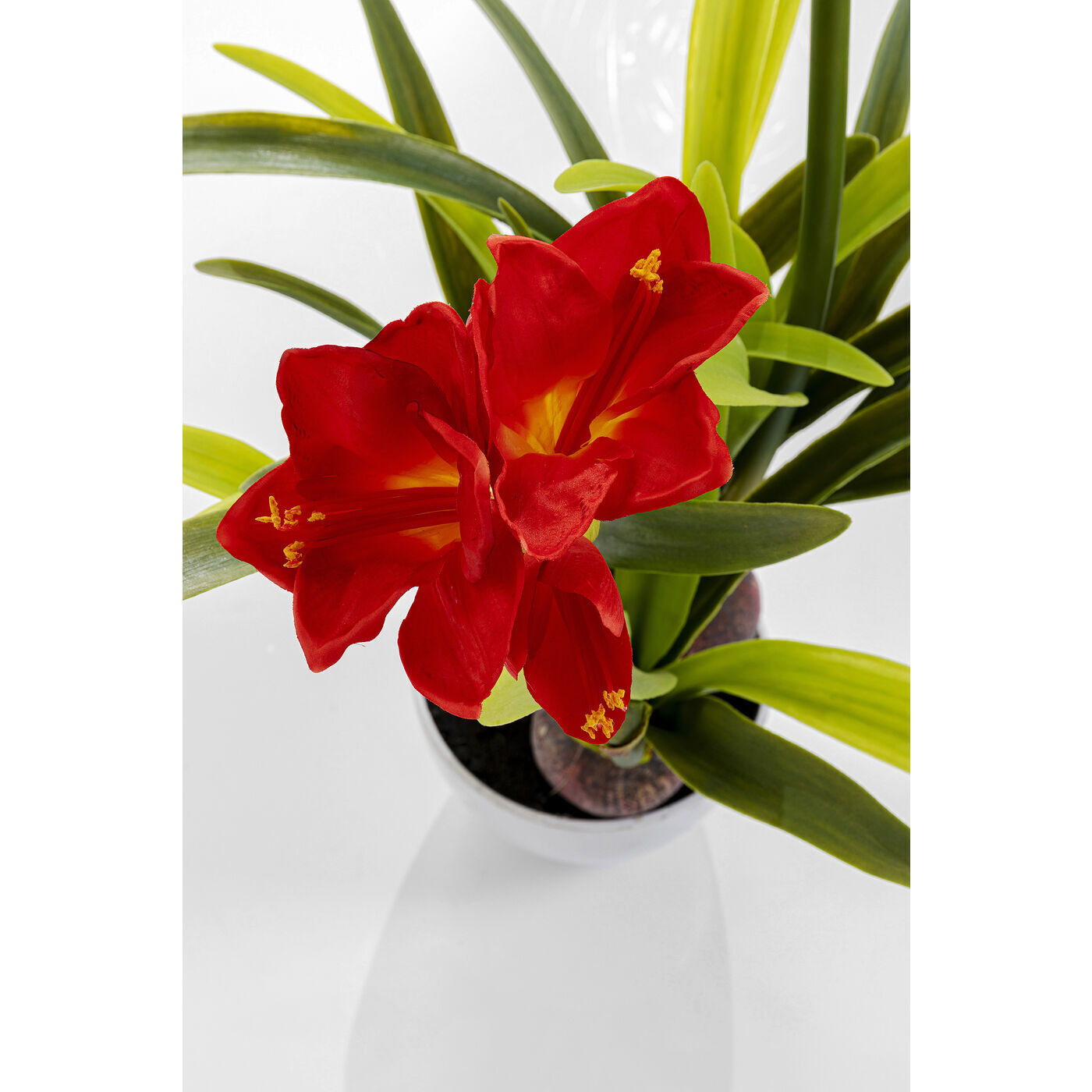 Предмет декоративный KARE Amaryllis 51682