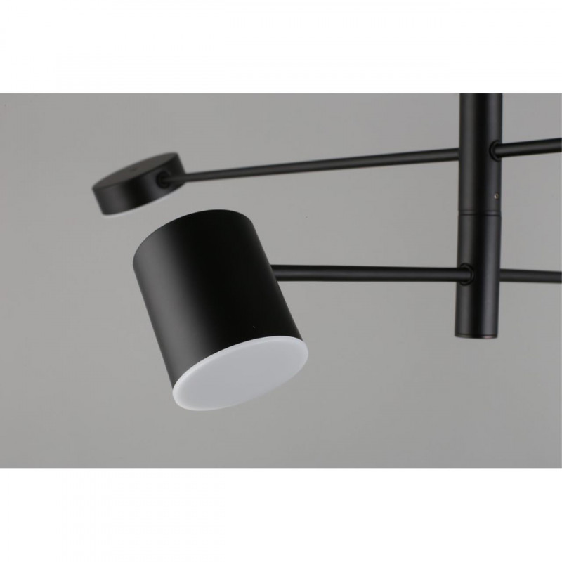 Люстра на штанге APLOYT APL.017.07.48