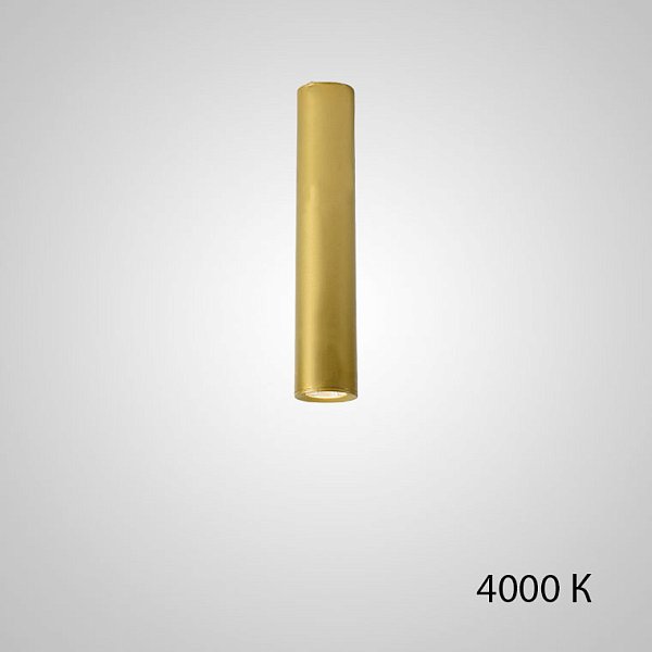 Точечный светильник PAN H30 Gold 4000 К by ImperiumLoft