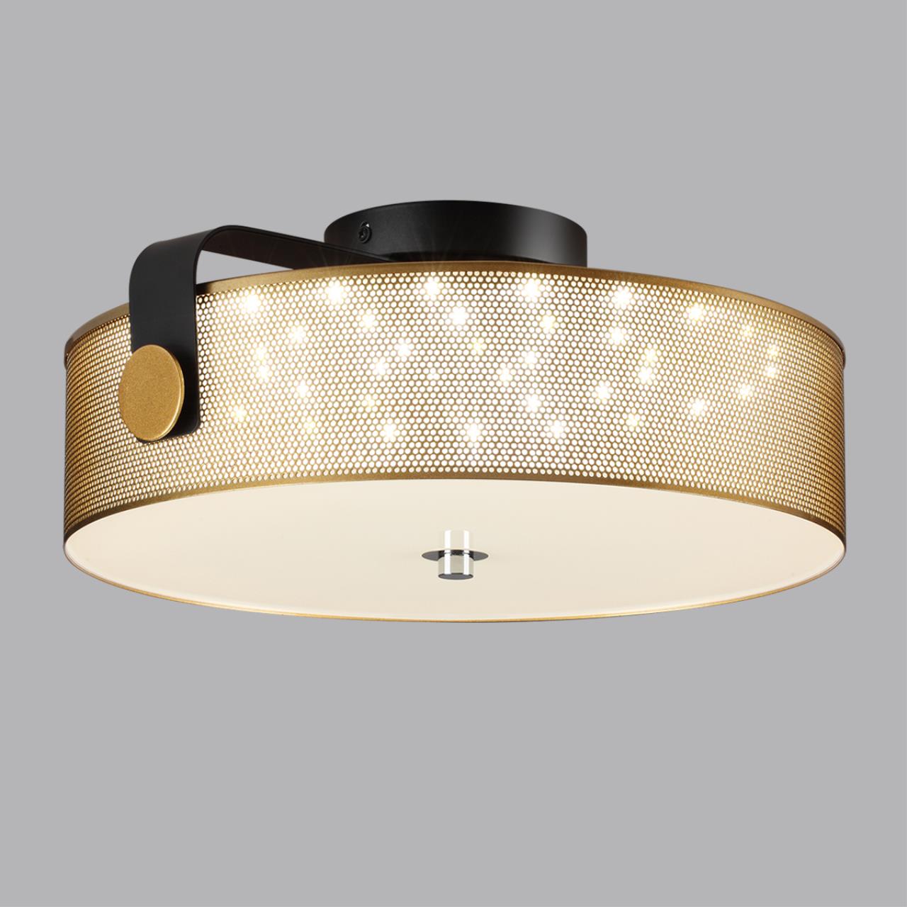 Потолочный светильник Lumion 6597/40L