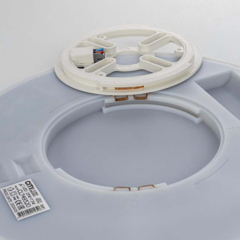 Накладной светильник Citilux CL749320