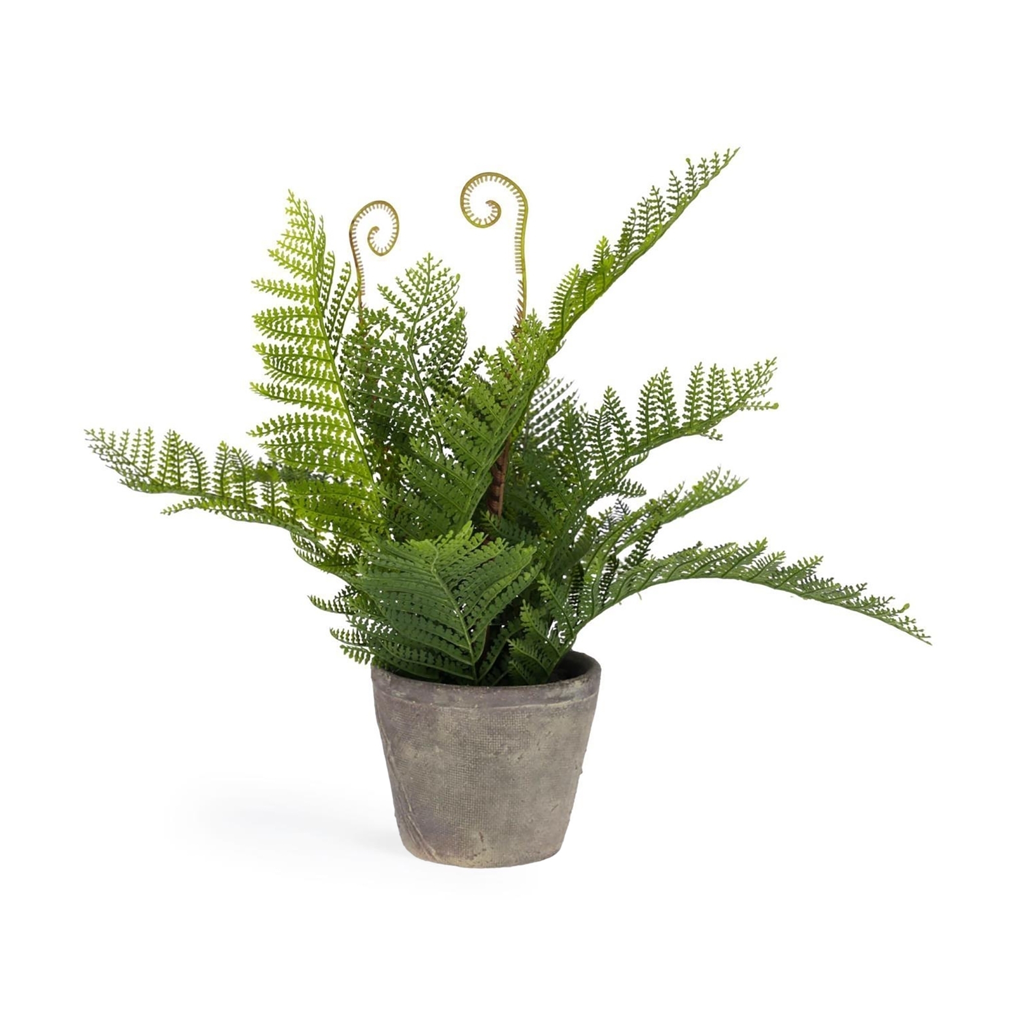 Flower Искусственный папоротник в горшке из цемента 35см La Forma (ex Julia Grup)