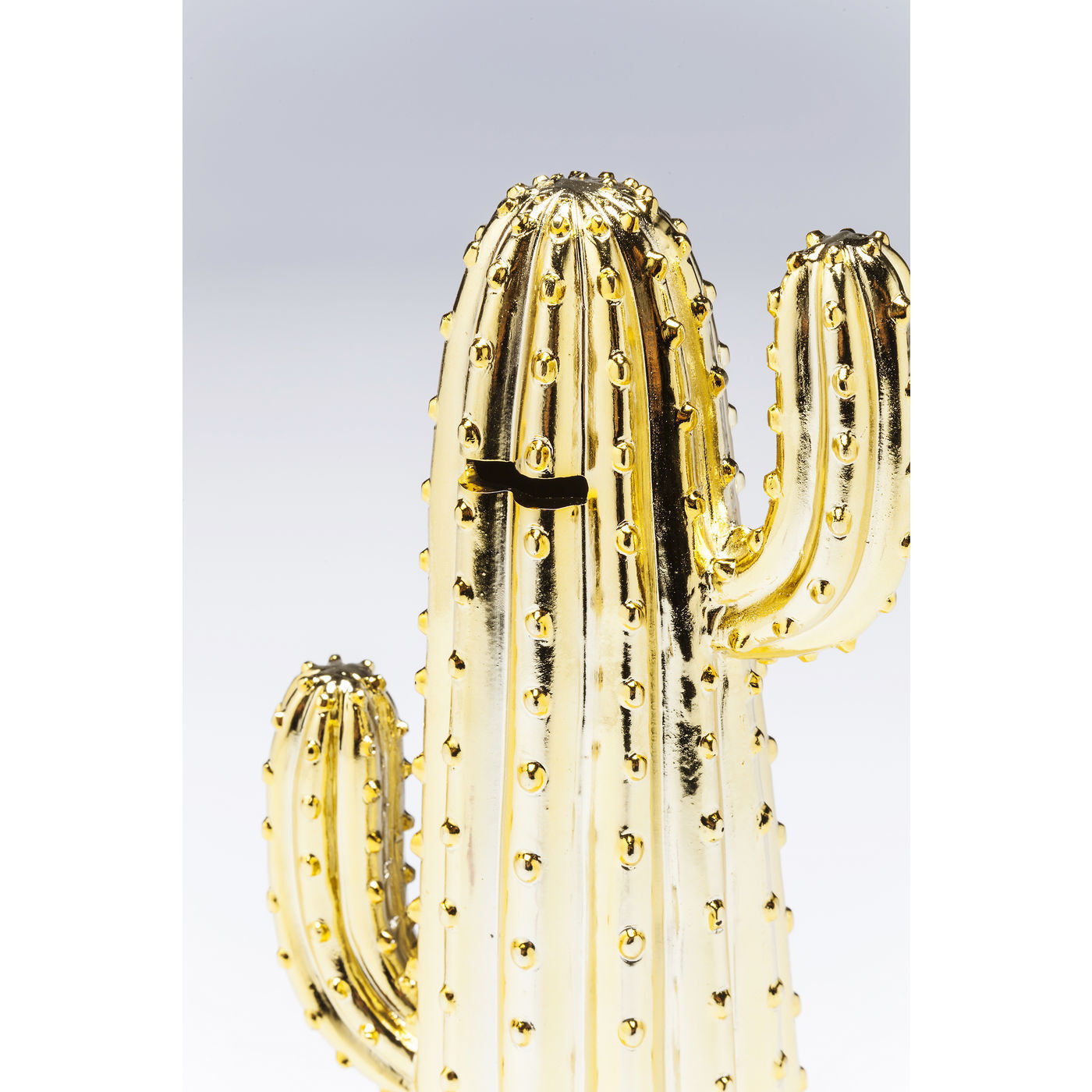 Копилка Cactus 60275 KARE