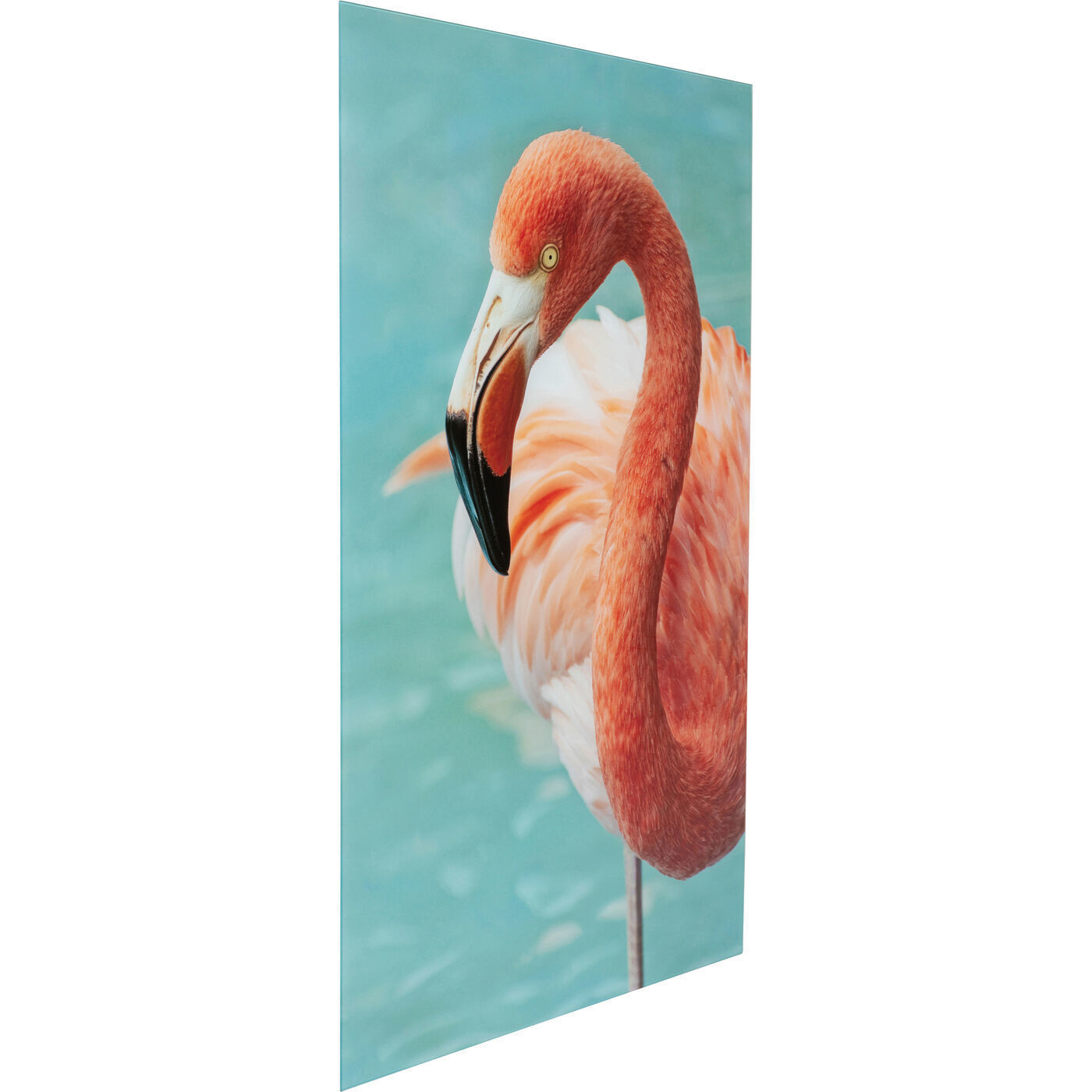 Картина Flamingo 53605 Kare