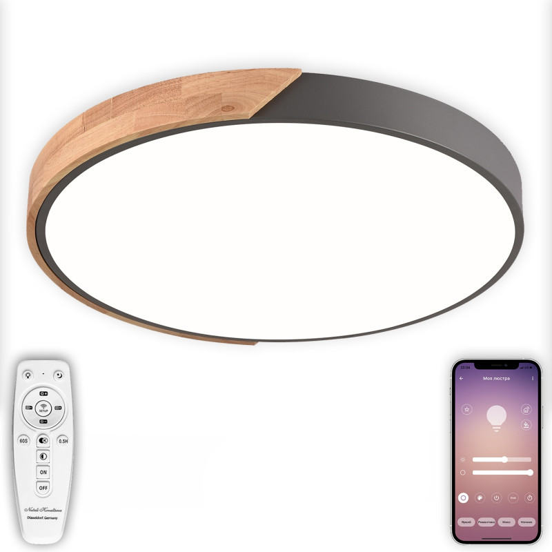 Накладной светильник Natali Kovaltseva LED LAMPS 81183