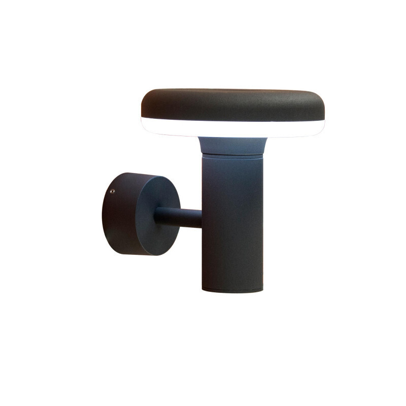 Светильник настенный Citilux CLU01W