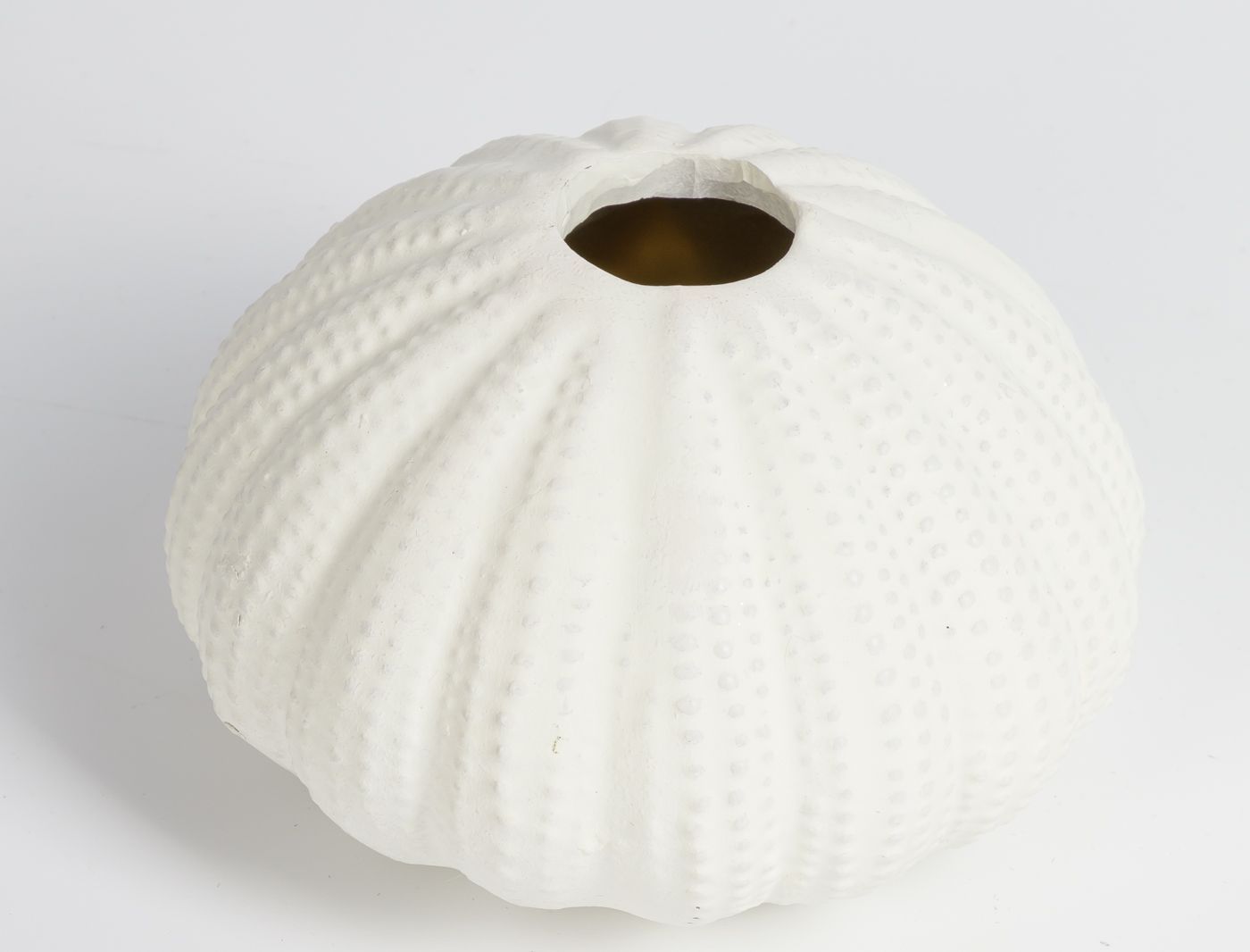 Подсвечник Ракушка Glasar 28-568