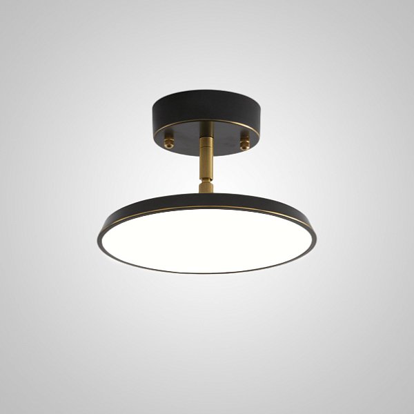 Потолочный светильник BIRK D12 Black by ImperiumLoft