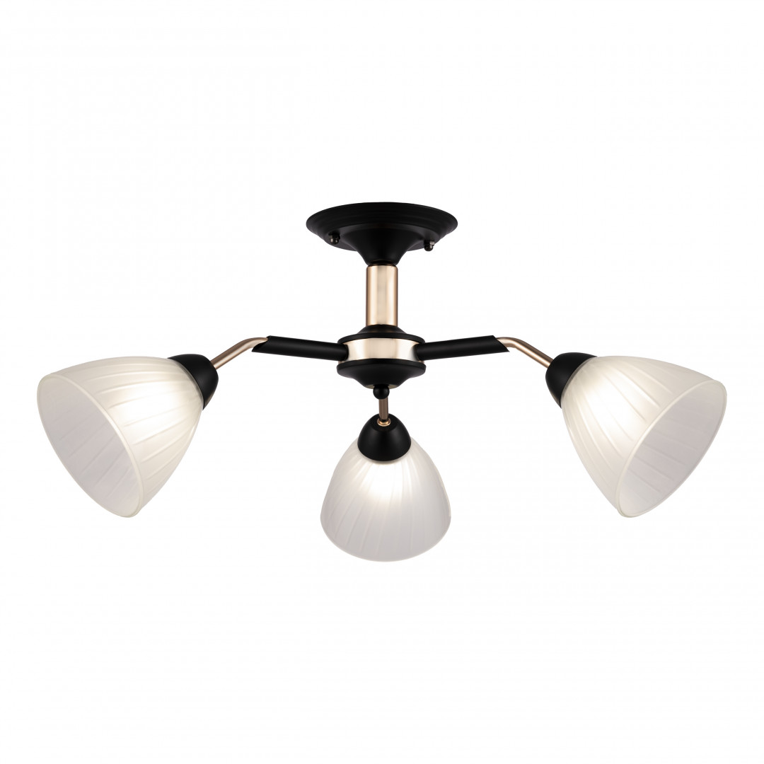 Люстра с плафонами 324108/3 BK+FG Arte Milano