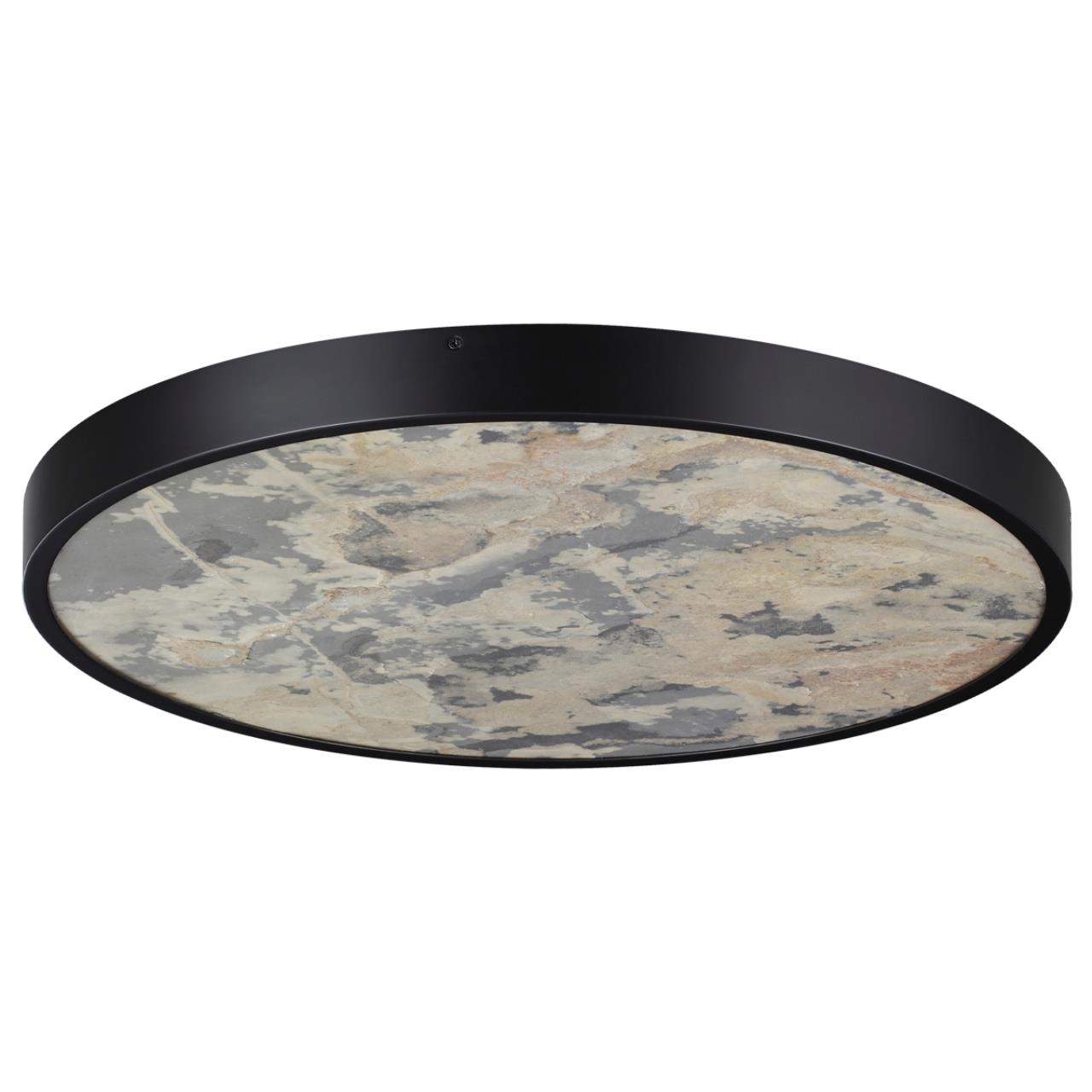 Настенно-потолочный светильник Odeon Light 5064/50L