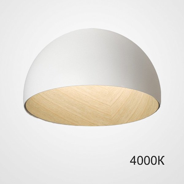 Потолочный светильник BARA B D50 White 4000К by ImperiumLoft