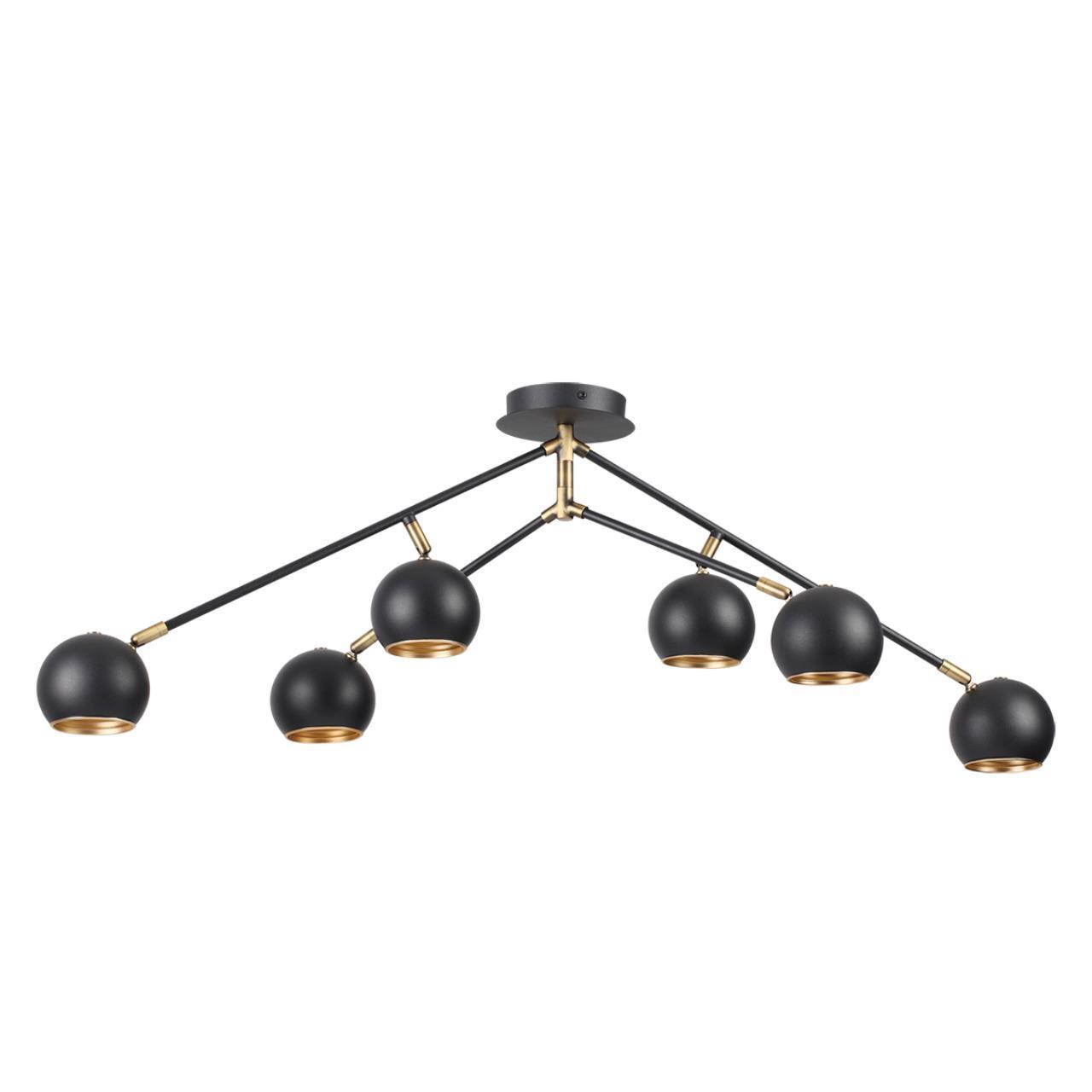 Люстра потолочная Lumion 3635/6C