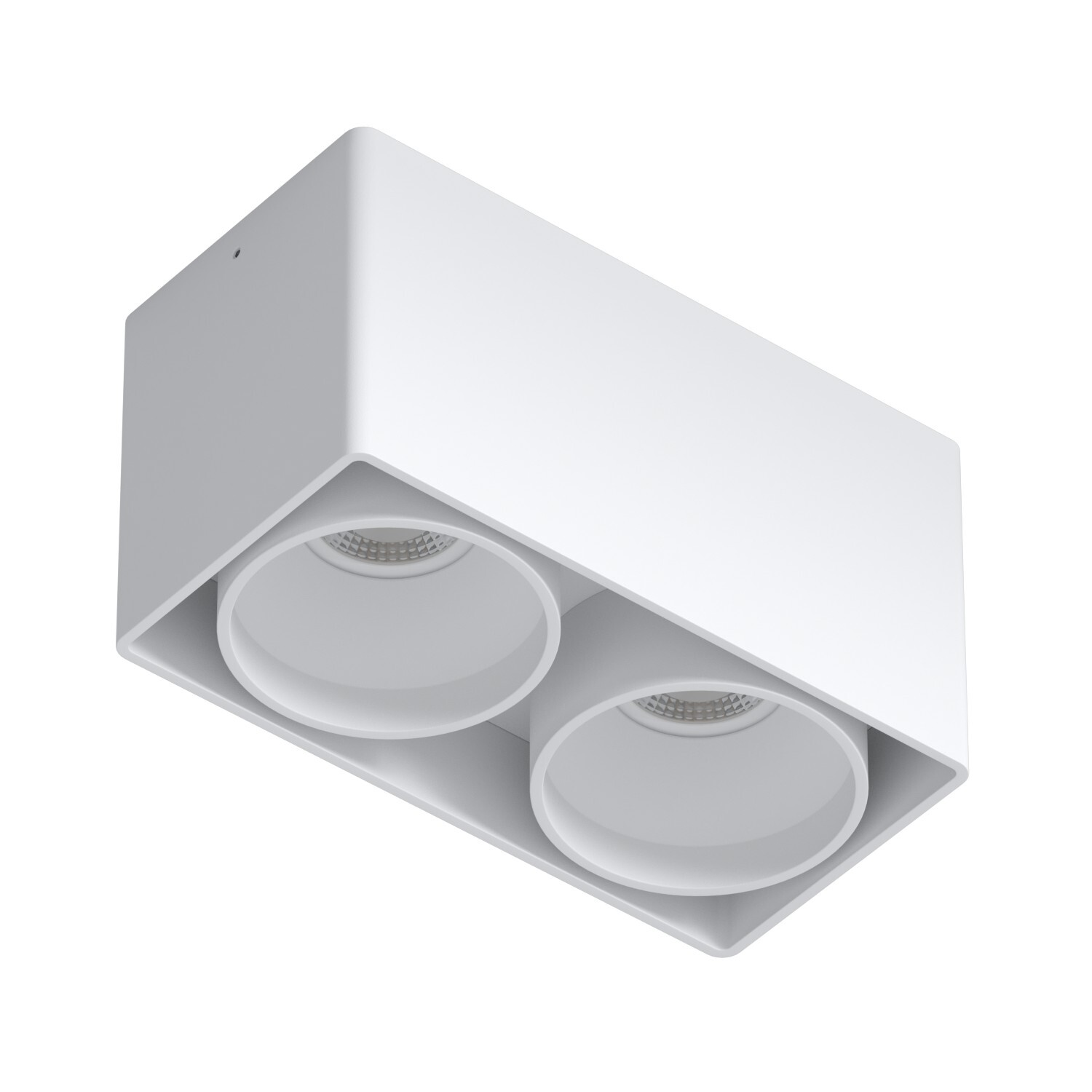 Накладной светильник под сменную лампу Ledron KEA 2 ED GU10 White