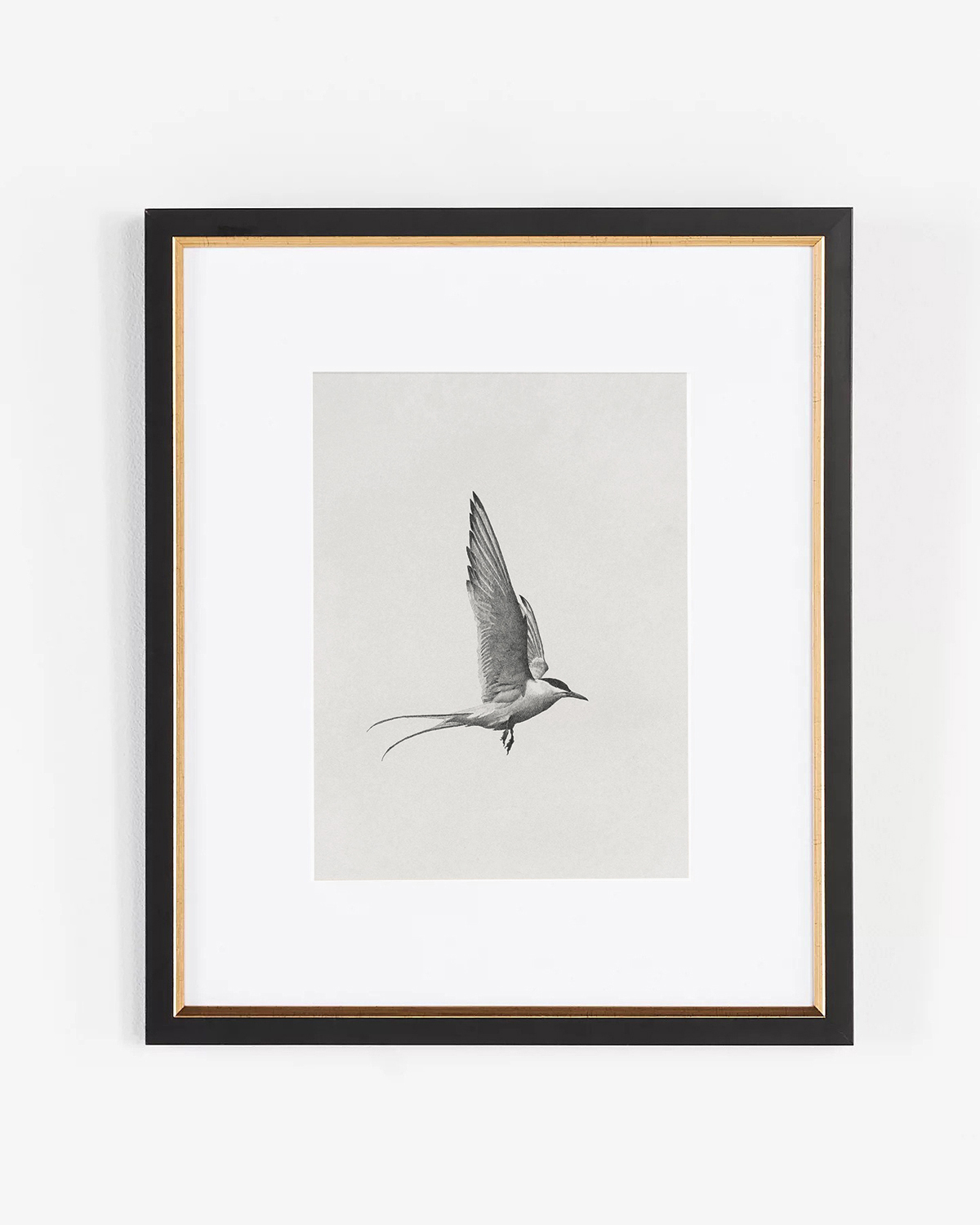 Прямоугольный постер Flight II Louvre Home DPP480924VHS